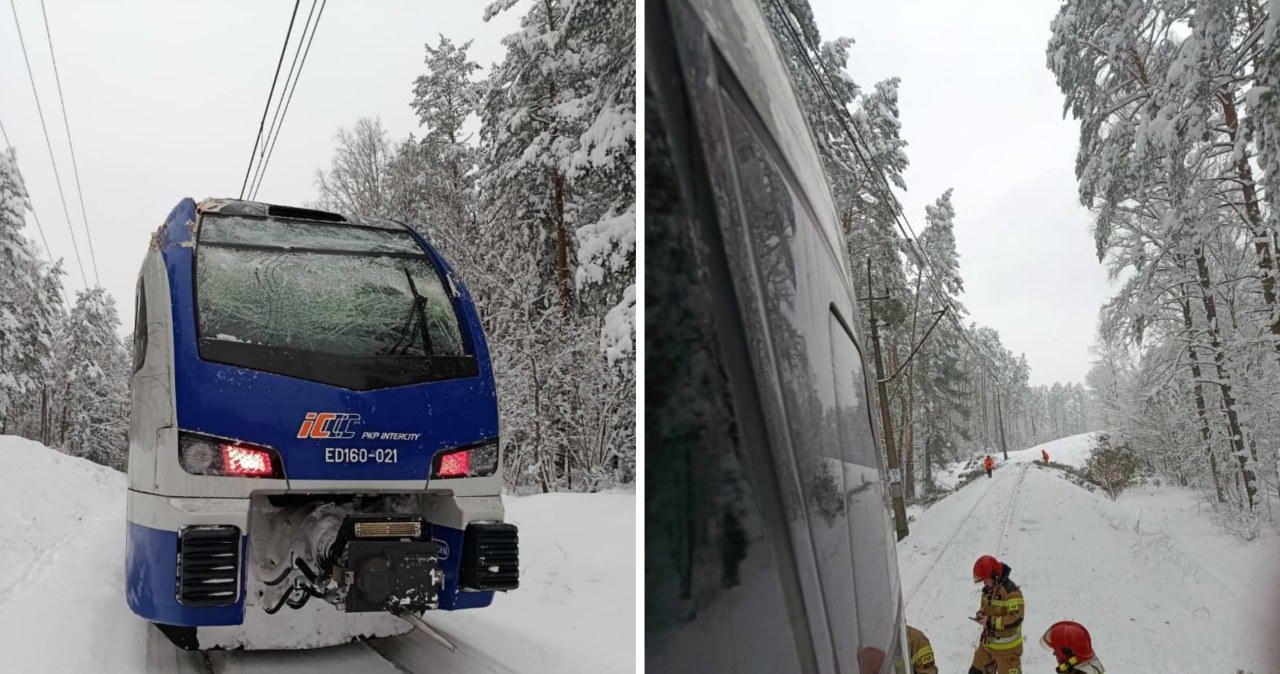 Pociąg uderzył w drzewo zwisające nad torami. Jest komunikat PKP
