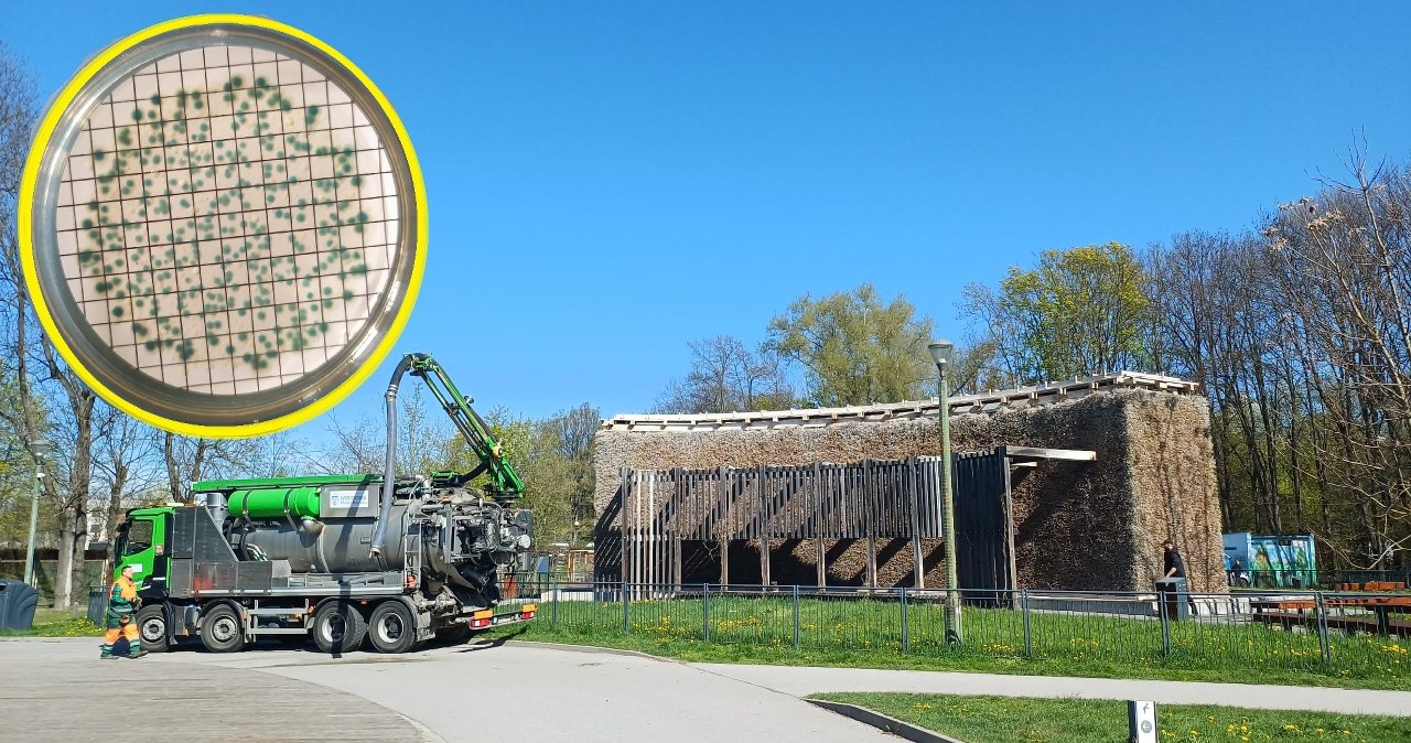 Wolna amerykanka w miejskich tężniach. Dlaczego nie dotyczą ich państwowe normy?