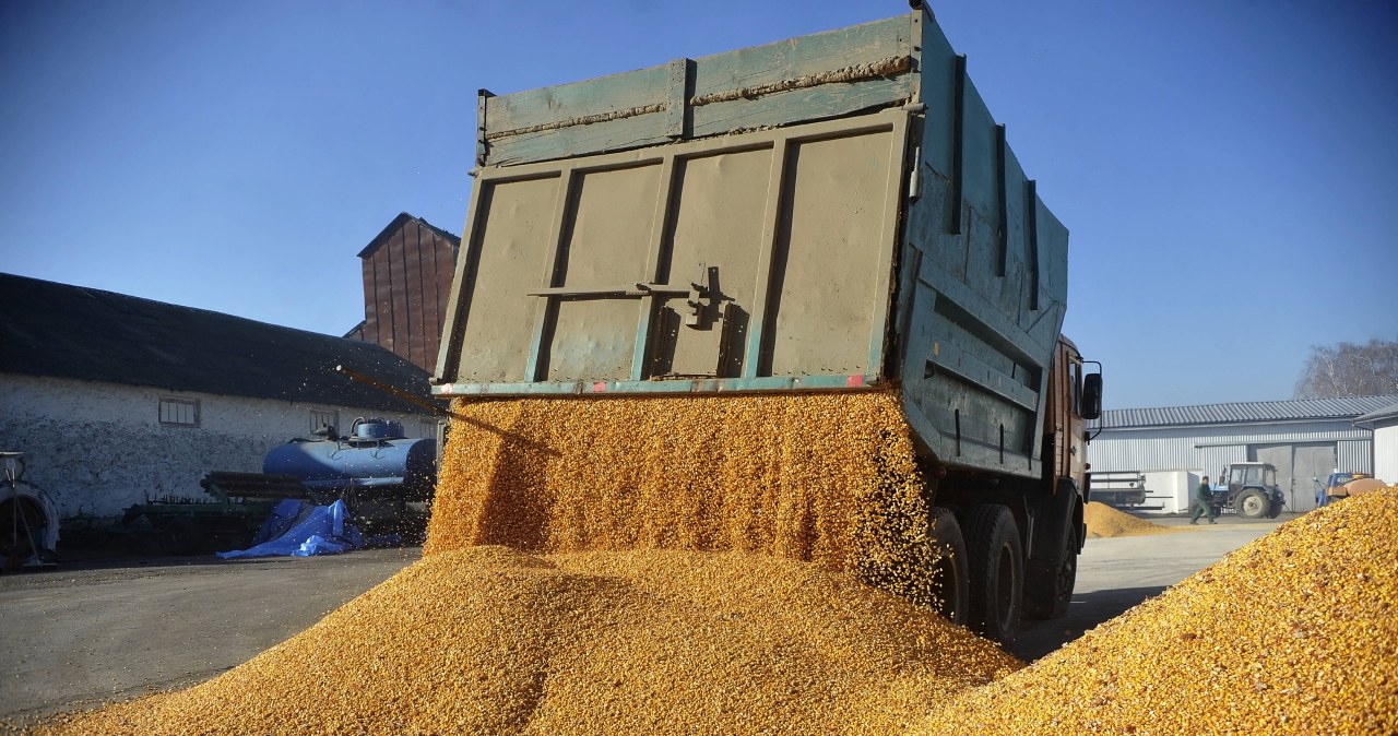 Ostra krytyka umowy handlowej z Ukrainą. Lider Konfederacji wylicza