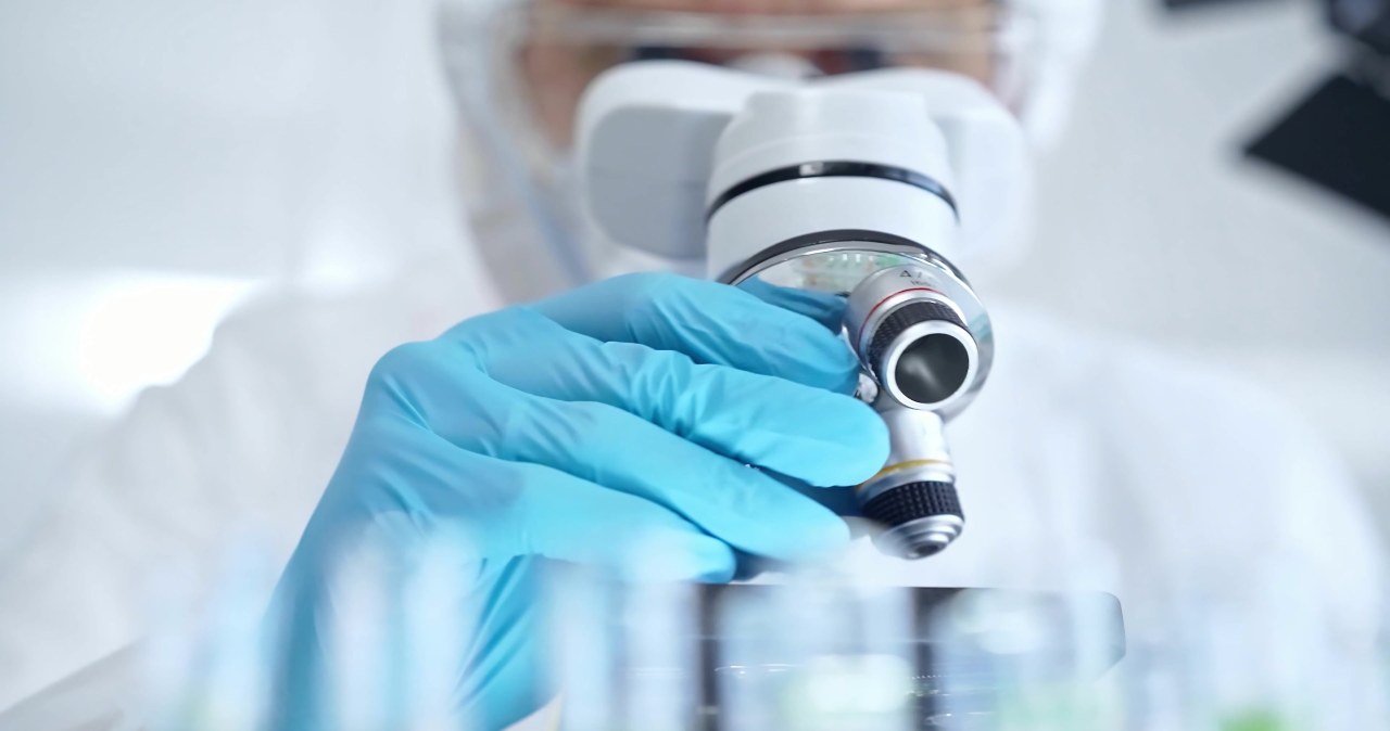 Tego jeszcze nie było. Polacy odkryli robaki z dwiema głowami