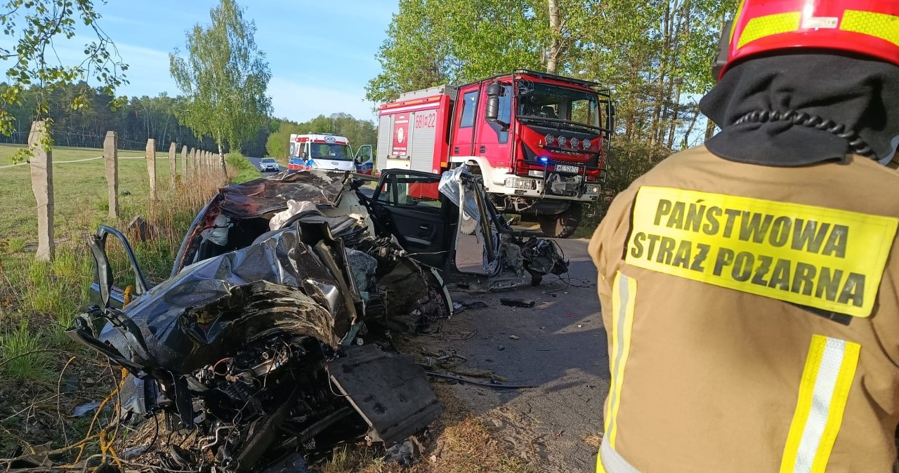 Poranny dramat w Przykorach. Koszmarne zderzenie z łosiem