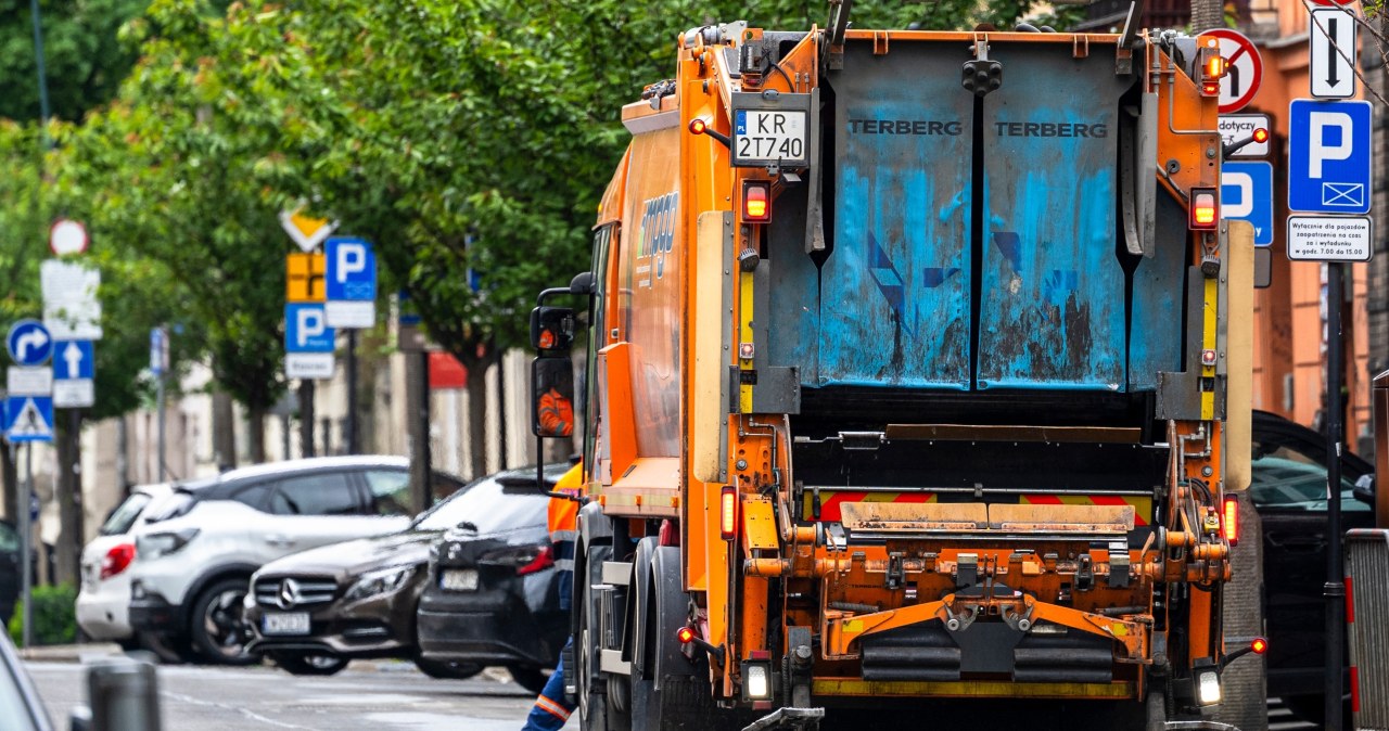 Nietypowe odkrycie w Krakowie. Jadowite pająki w koszu na śmieci