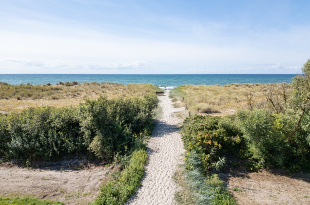 Zaledwie 600 metrów od plaży. Atrakcyjne działki nad Bałtykiem na sprzedaż