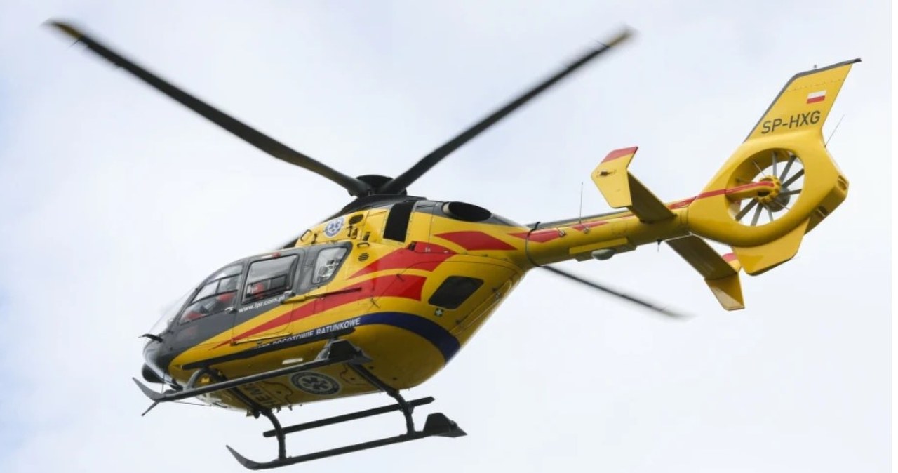 Bus przewożący dzieci uderzył w drzewo. Są ciężko ranni