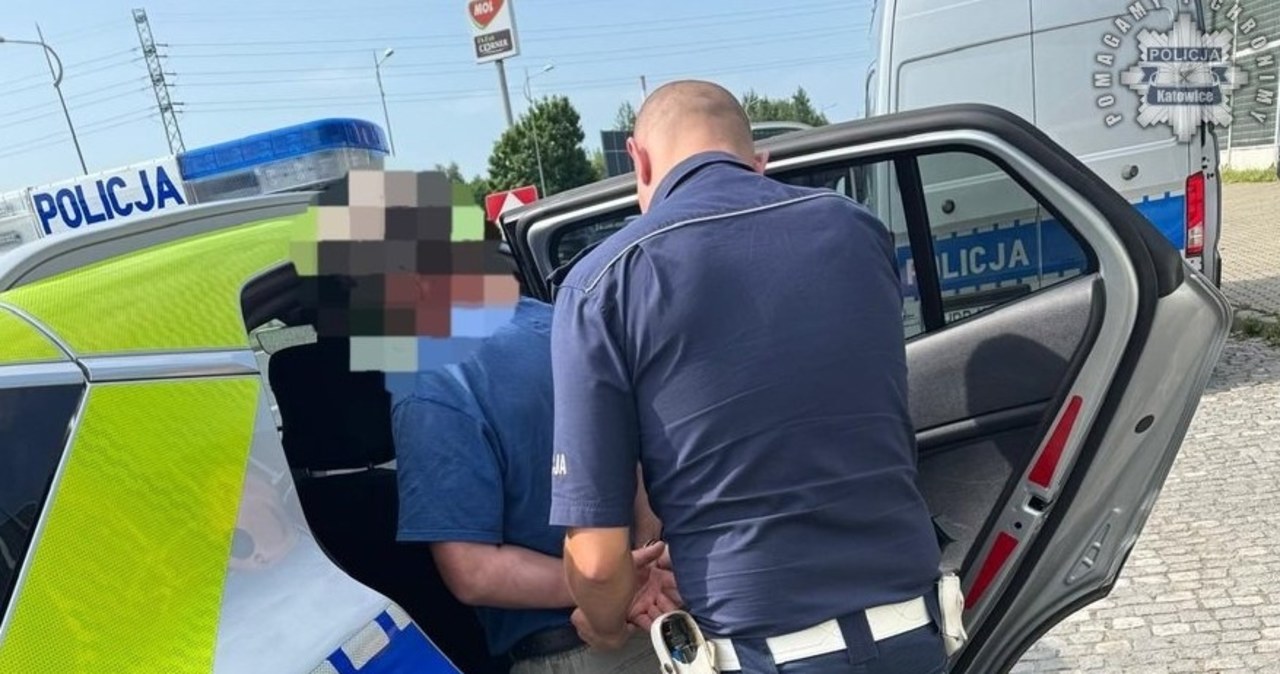 Poszukiwany przez Interpol Mołdawianin zatrzymany na Śląsku