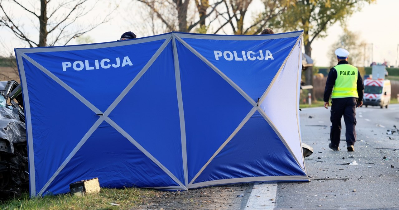 Czołowe zderzenie na DK10. Nie żyje jedna osoba