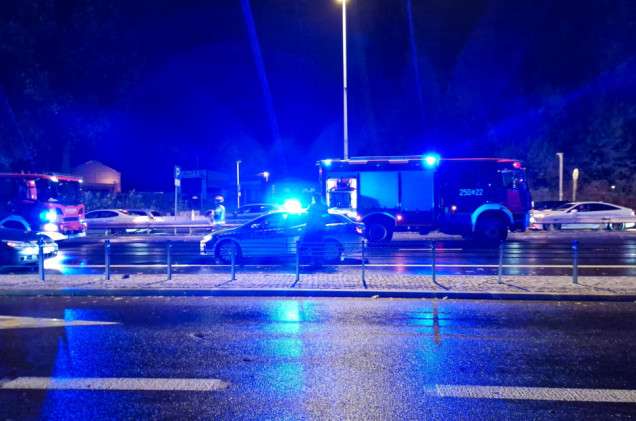 Ojciec i syn zginęli na Wisłostradzie. Sprawca wypadku skazany