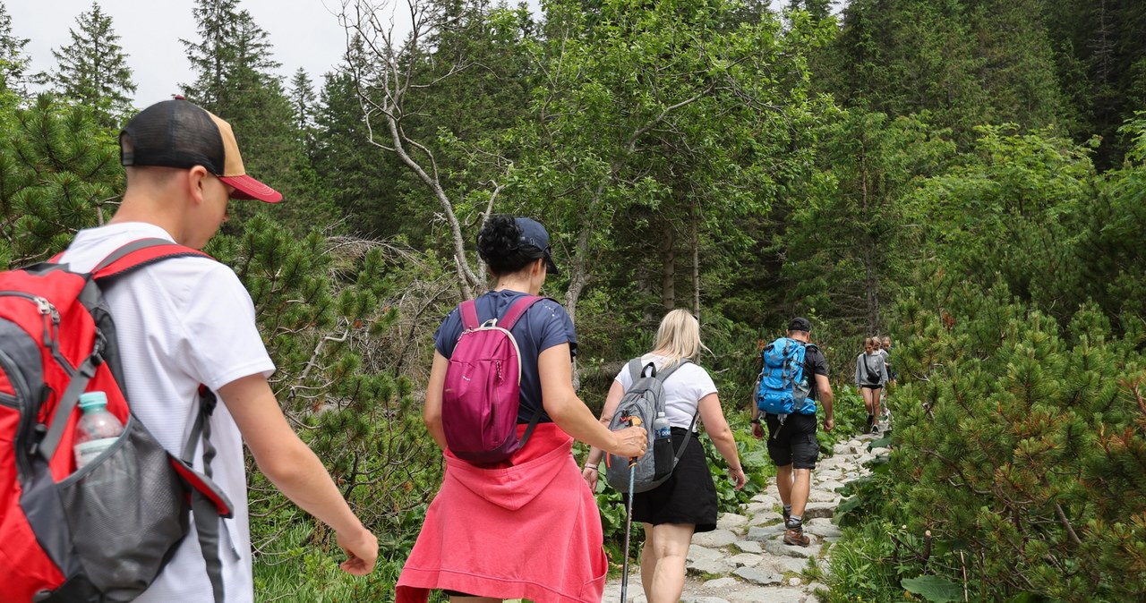 Miliony złotych na remonty szlaków. TPN ogłosił plany