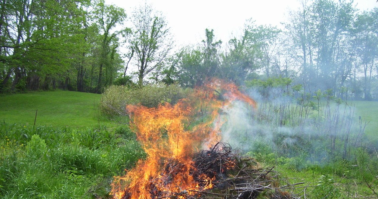 Palisz gałęzie na działce? Możesz za to słono zapłacić