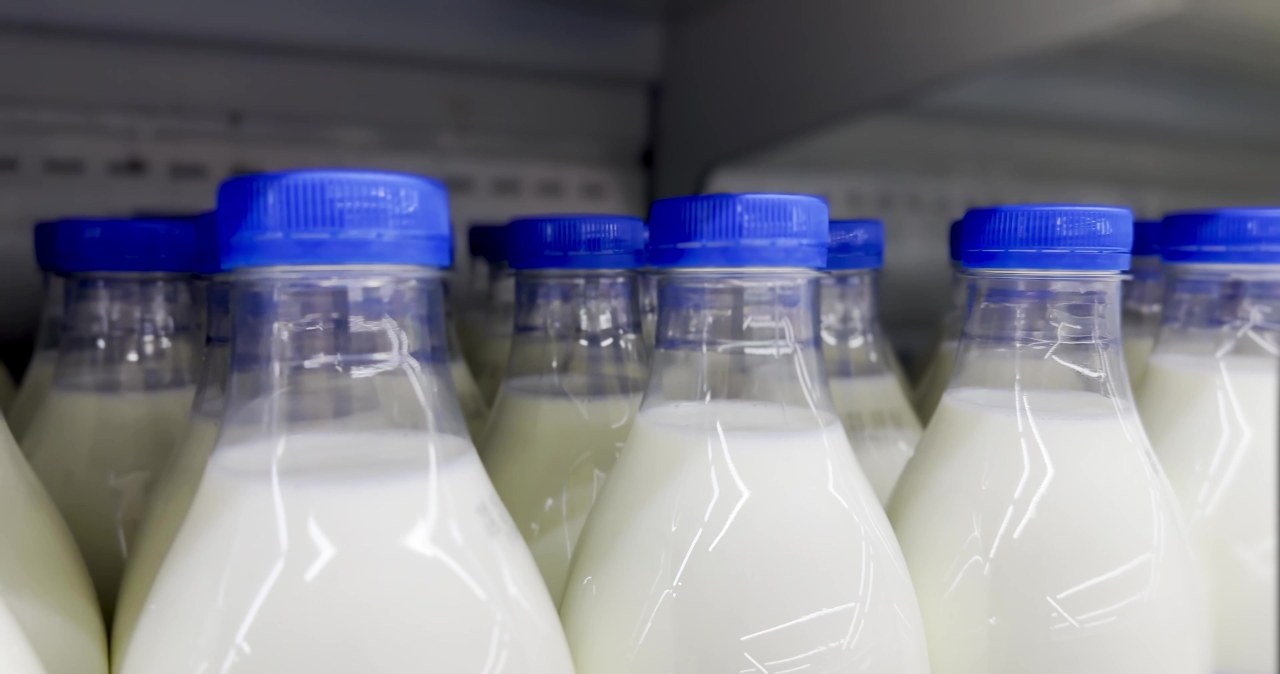 Upadłość blisko stuletniej mleczarni. Kilkadziesiąt osób bez pracy, lokalni rolnicy z problemem