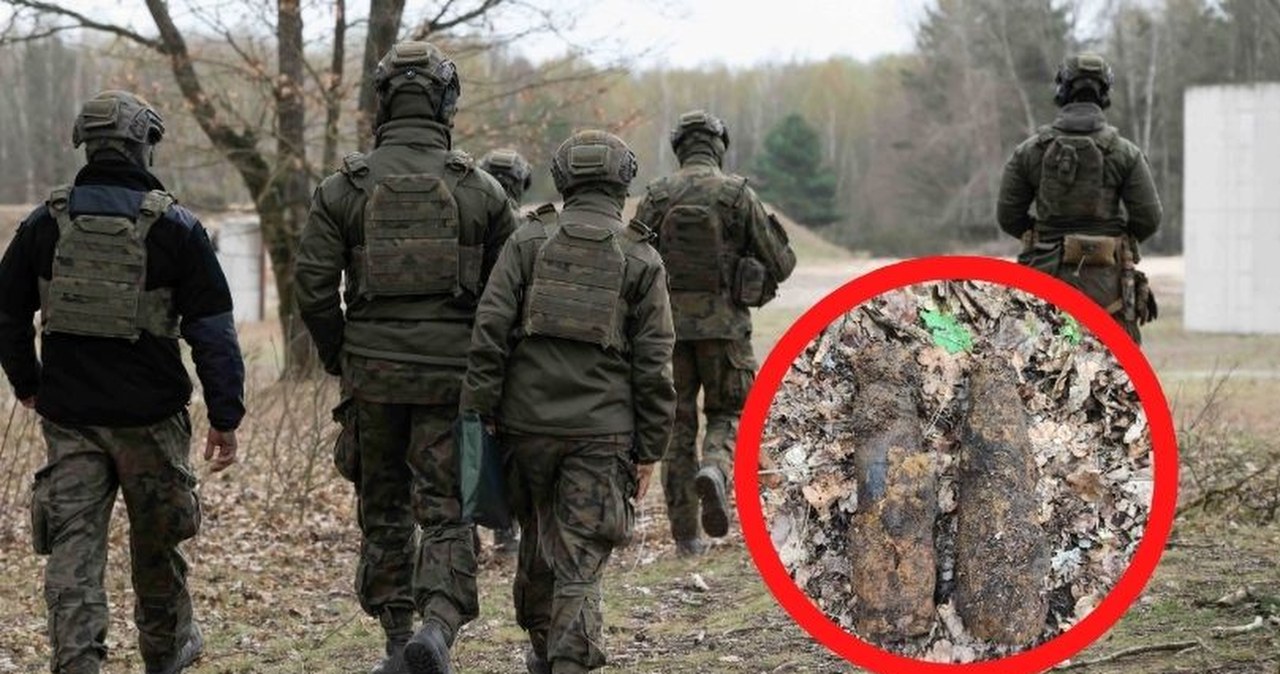 Spacerował po lesie, gdy natrafił na niewybuchy. Na miejsce wezwano saperów