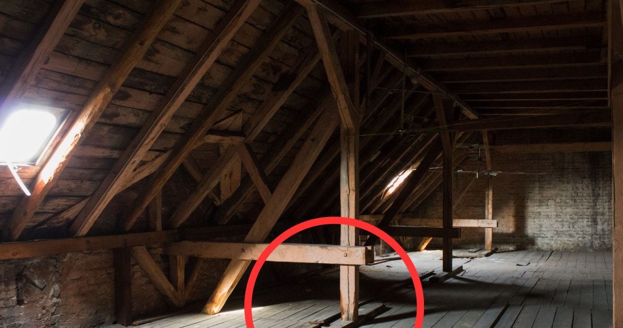 Niezwykłe odkrycie w Gliwicach. Przeleżał dekady ukryty pod podłogą