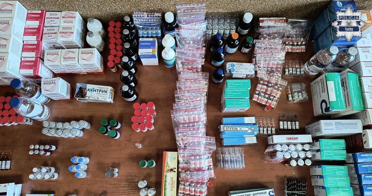 Nielegalne leki z Ukrainy trafiały do polskich lecznic weterynaryjnych