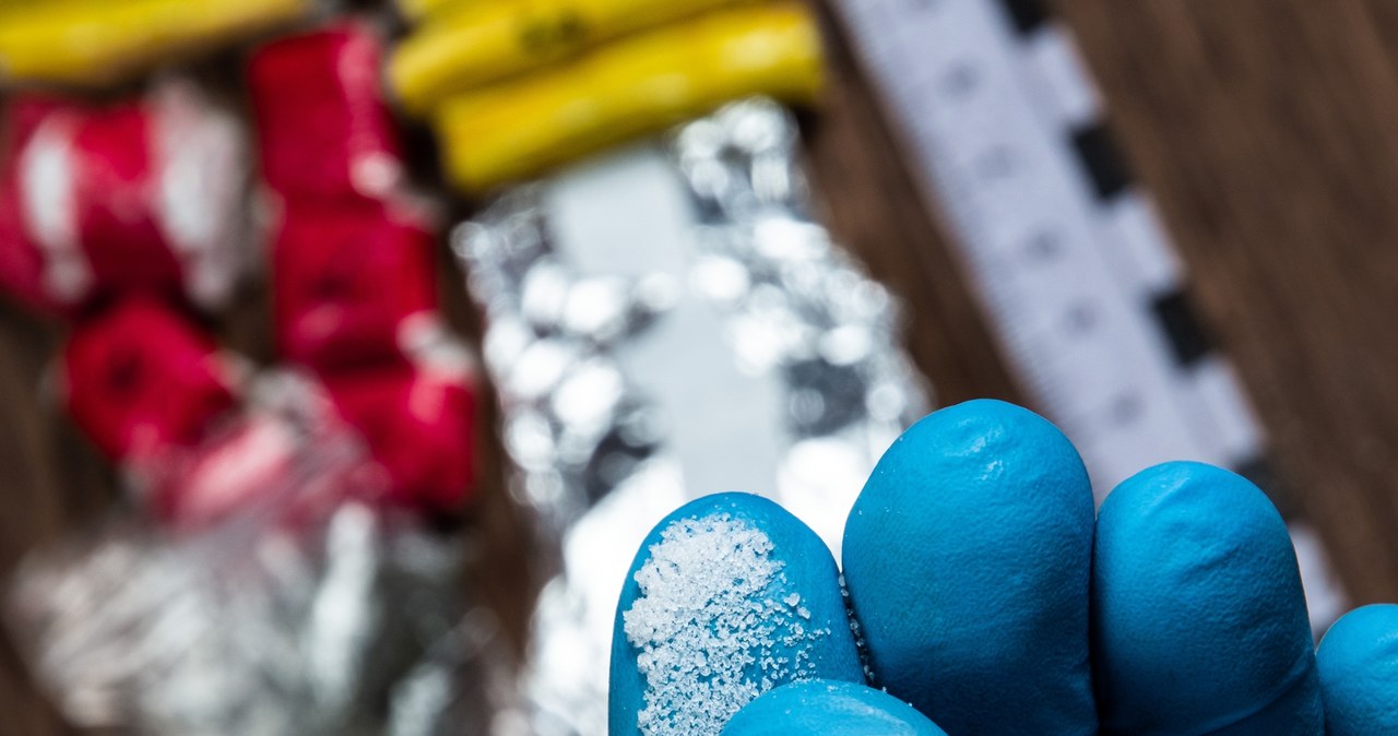 Narkotyki warte miliony. Policja przeprowadziła spektakularną akcję