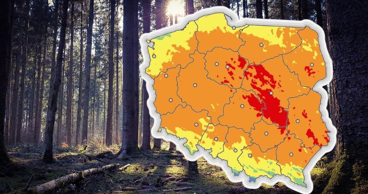 IMGW ostrzega przed dużym zagrożeniem. Wystarczy sekunda, by spłonął las
