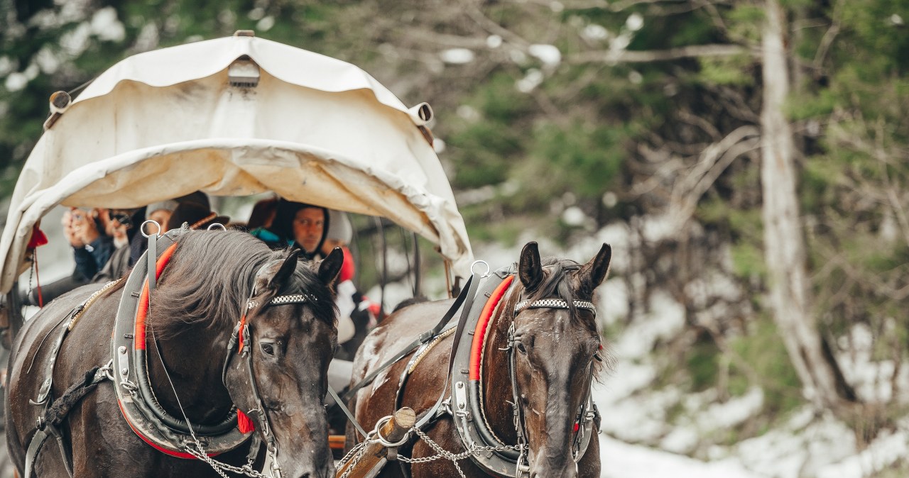 Konie odjechały, nad Morskim Okiem zapadł zmrok. Zaskoczeni turyści wezwali TOPR