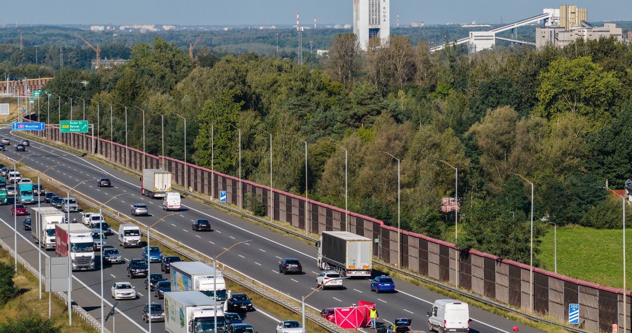 Zderzenie autokarów przewożących dzieci. Jechało nimi 99 osób