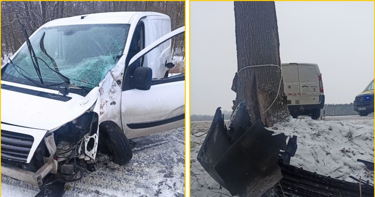 Dostawczak uderzył w drzewo. Nie uwierzysz, gdzie siedział pasażer