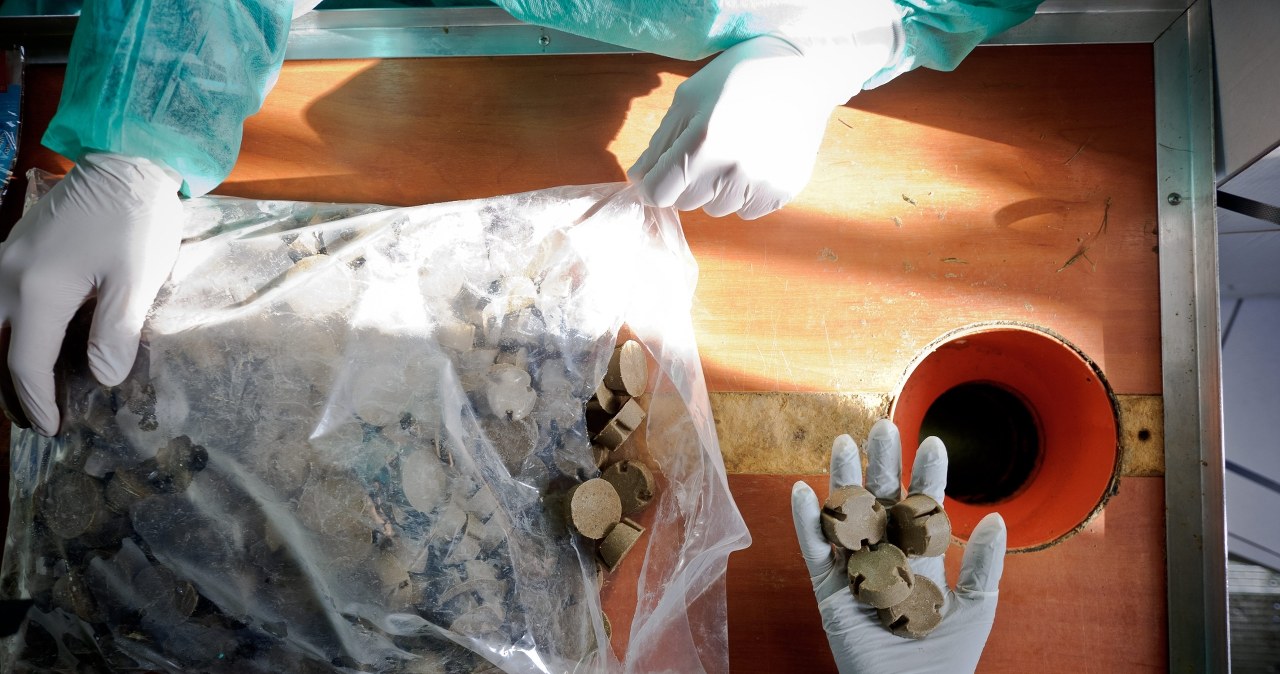 "Nie dotykaj". Alert RCB dla mieszkańców jednego województwa