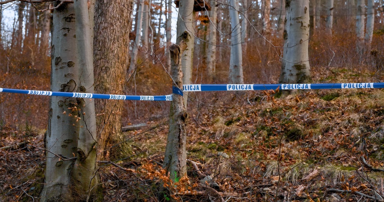 Zadał Izie blisko 50 ran. Archiwum X wraca do koszmaru spod Myszkowa