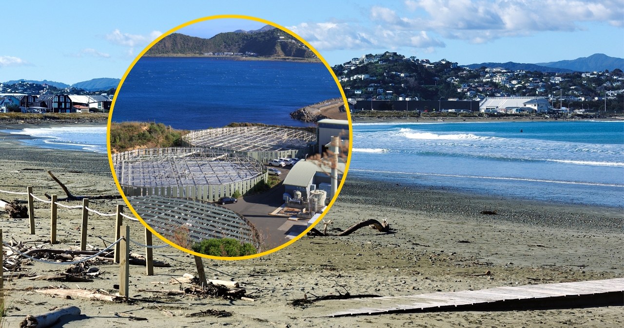 ​"Katastrofa środowiskowa". Władze ostrzegają przed kąpielami i wyprowadzaniem psów