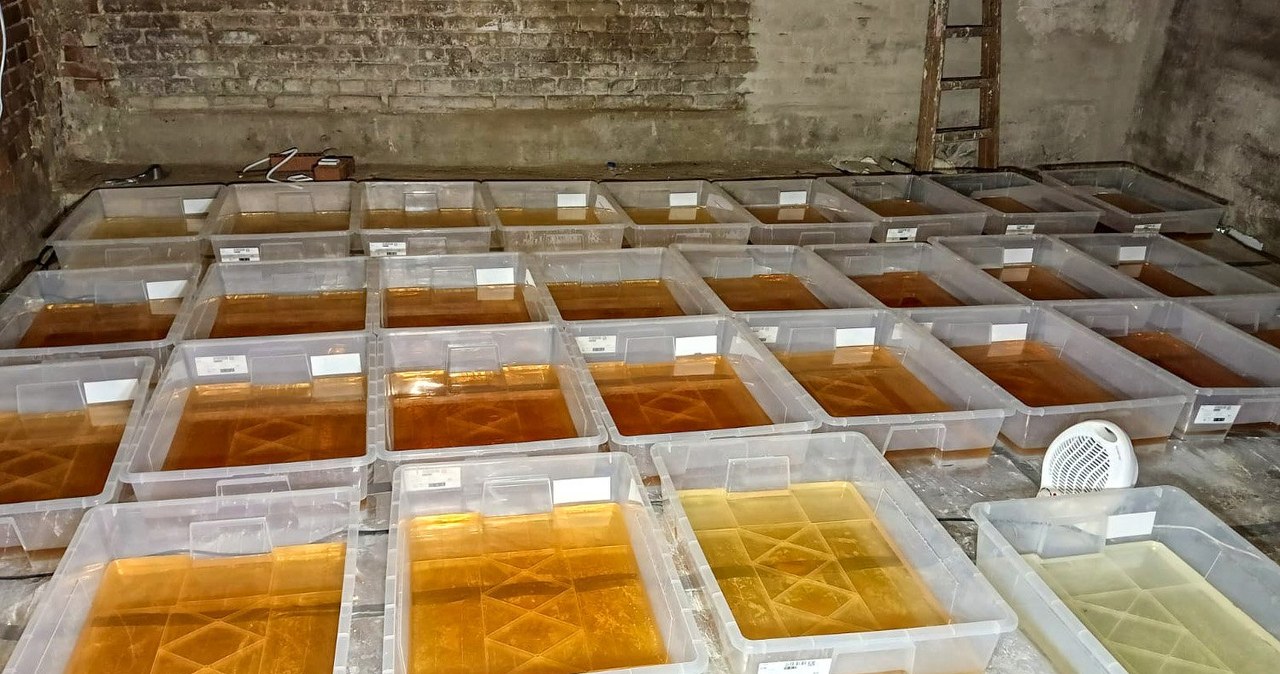 Służby rozbiły sieć laboratoriów narkotykowych. Ponad tona zakazanej substancji