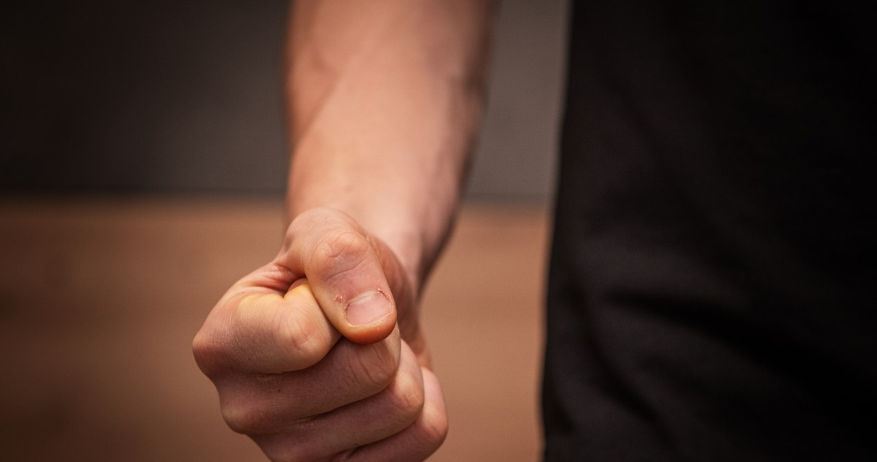 Horror w domu pod Bolesławcem. 21-latek nie oszczędził nawet psa