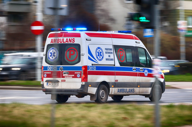 Tragiczny wypadek z udziałem konia. Nie żyje półtoraroczne dziecko