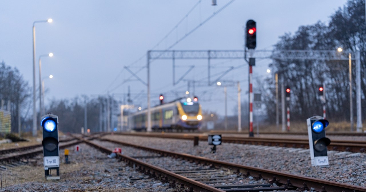 Ewakuacja pasażerów z pociągu. Na przewody spadło drzewo