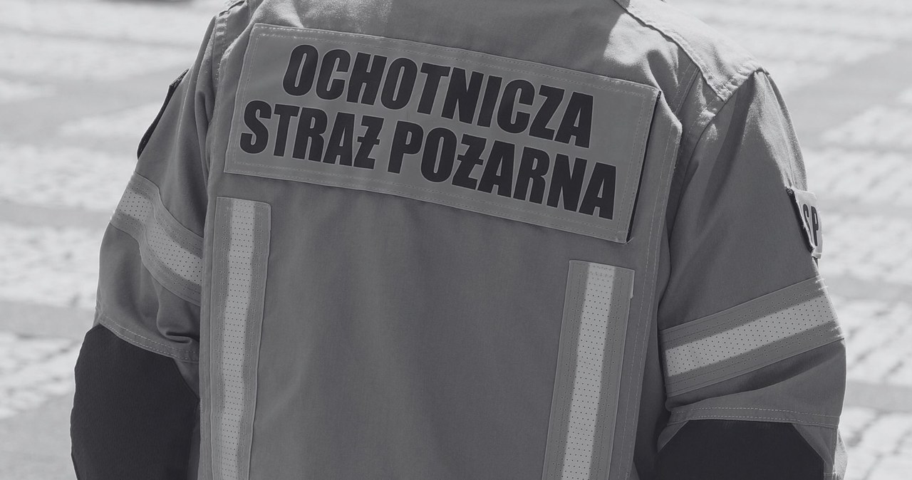 Tragedia na służbie. Nie żyje strażak użądlony przez owady
