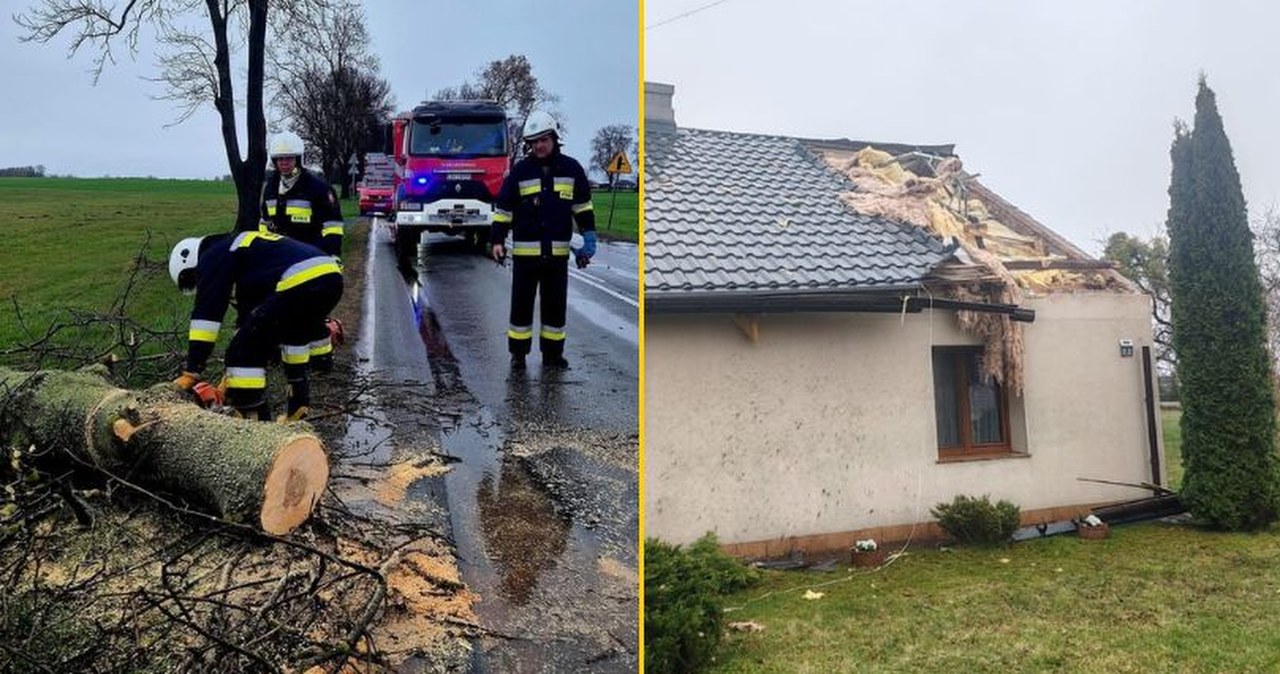 "Masowa awaria" na Pomorzu. Powalone drzewa, brak prądu i silny wiatr
