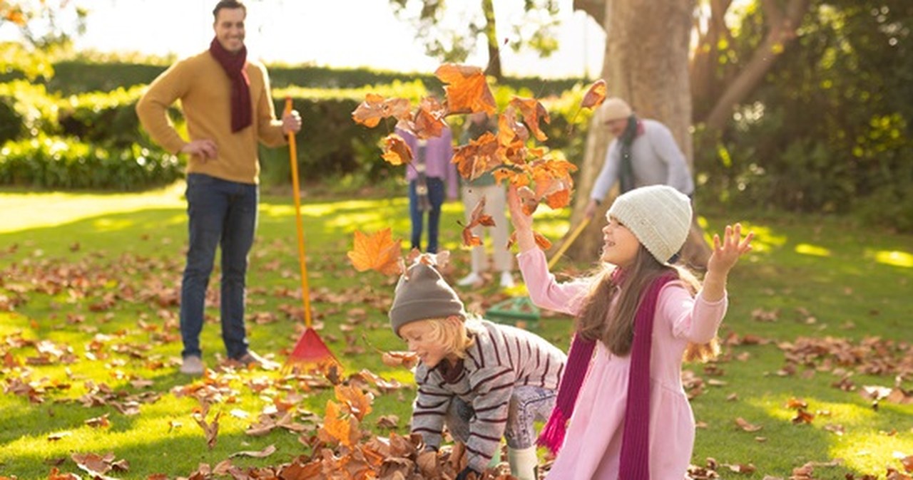 Porządki w ogrodzie! Sprawdź, jakie sprzęty po prostu musisz mieć