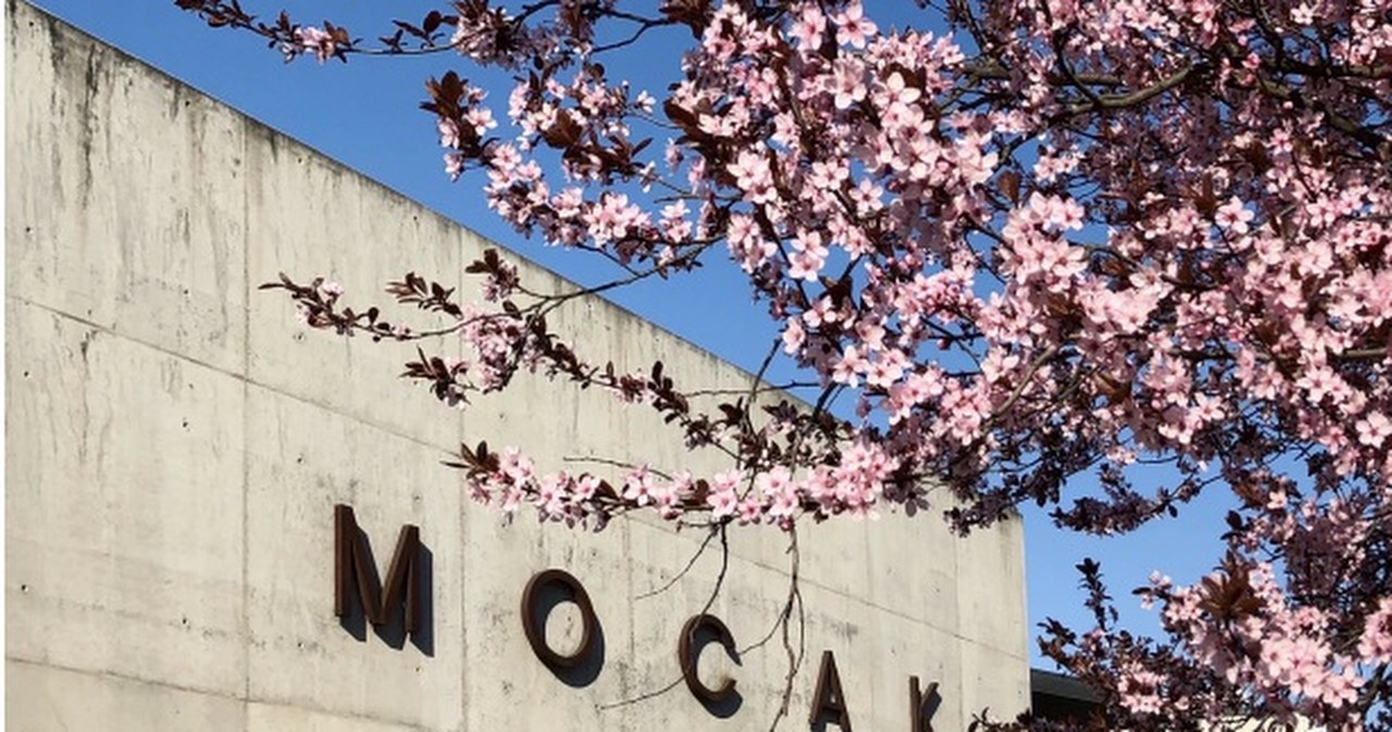 Muzeum MOCAK w Krakowie znowu bez dyrektora
