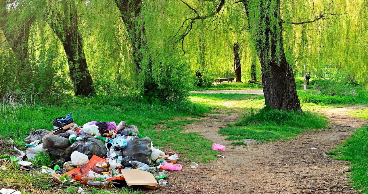 Reklamówka, która rozkłada się 400 lat. Używasz jej codziennie