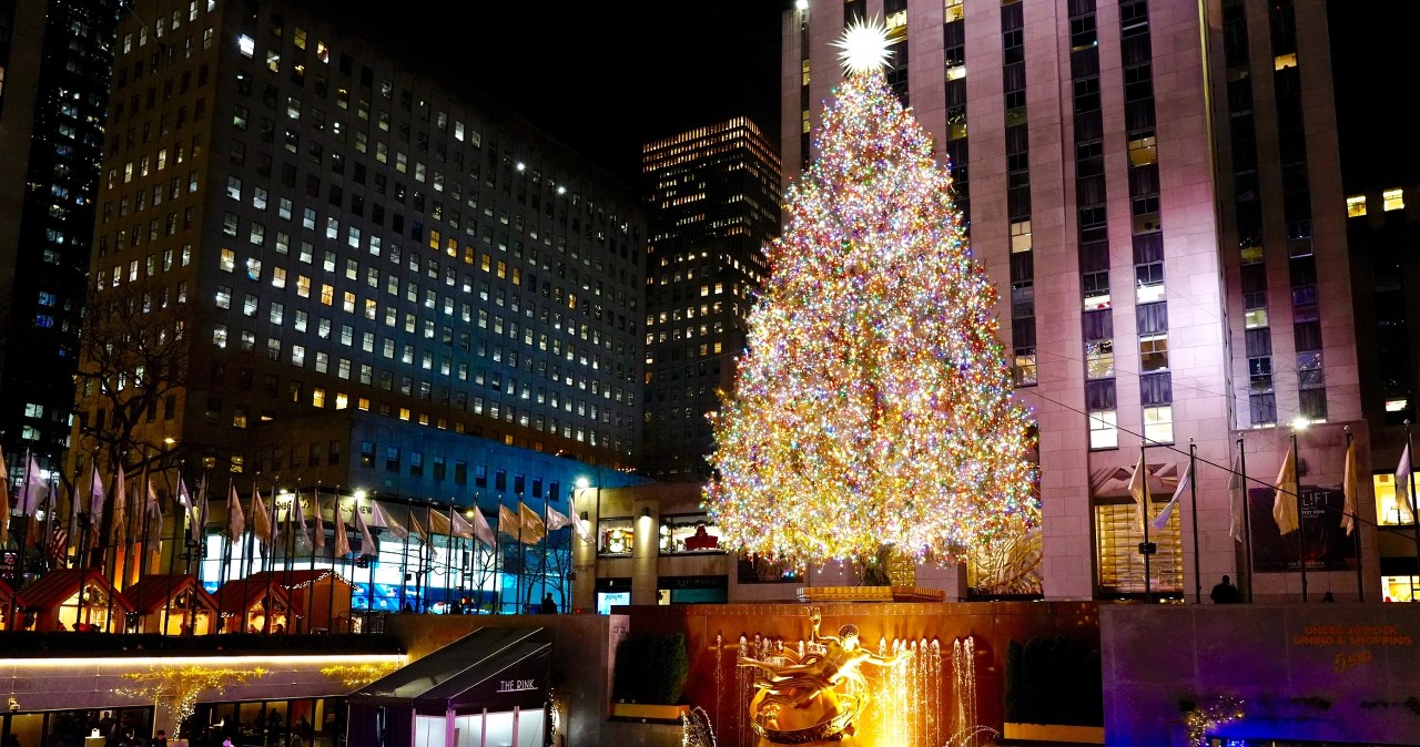 50 000 światełek i 3 miliony kryształów. Oto choinka, która ma zachwycić świat