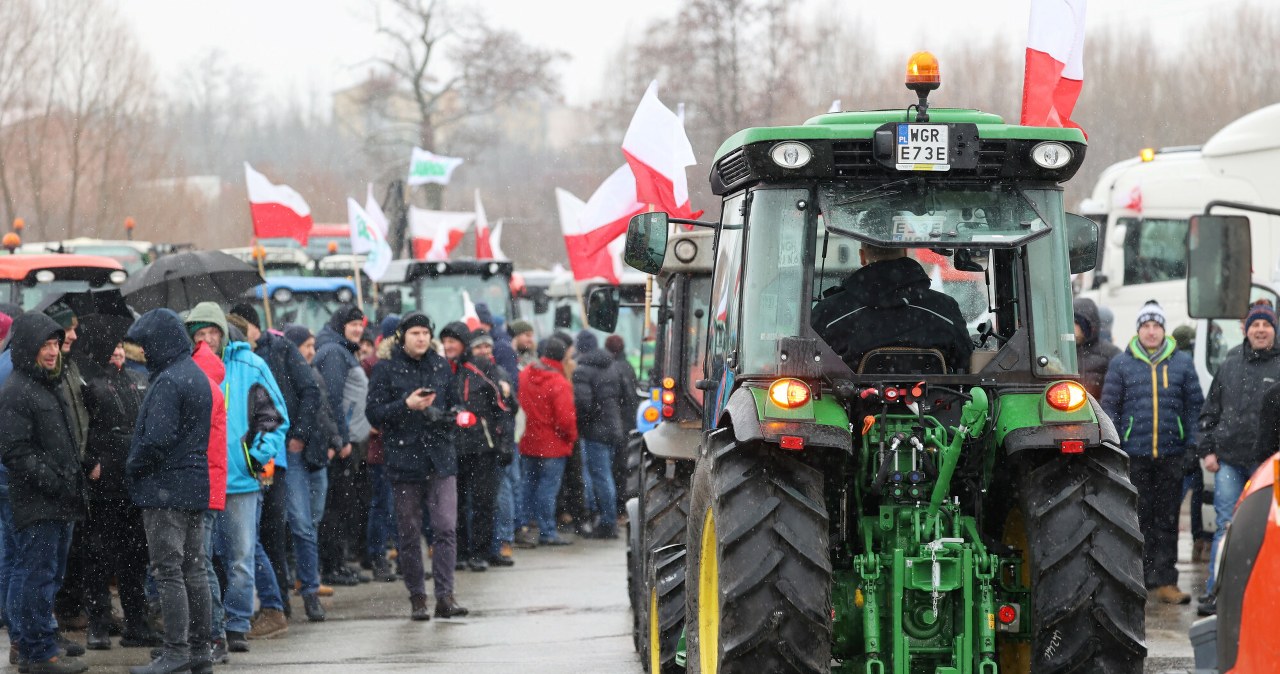 Dostają za kilogram ziemniaków 20 gr i mają dość. Rolnicy wyjdą na drogi?