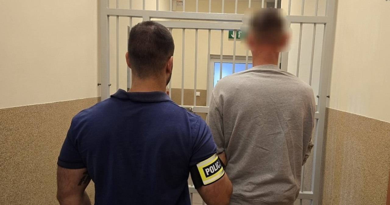 Podstępem zaciągnął dziewczynkę do publicznej toalety. Co grozi 31-latkowi?