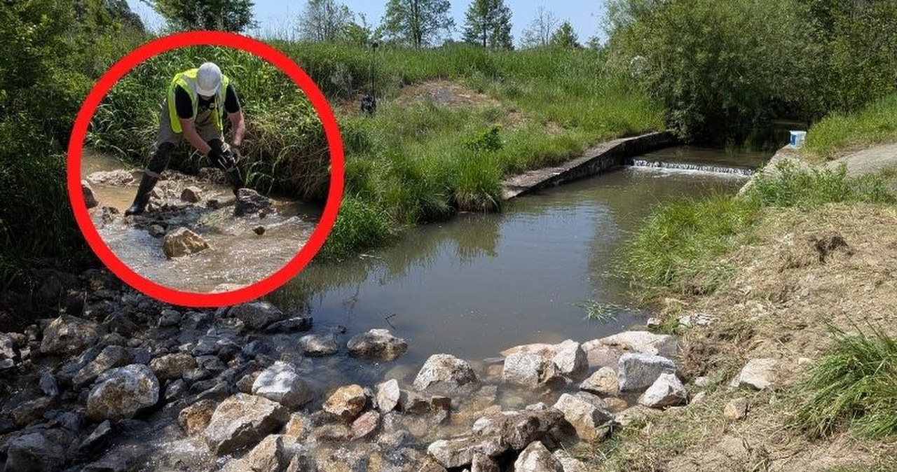 ​Wędkarze "naprawiają" Sankę. Trwa renaturyzacja tej rzeki