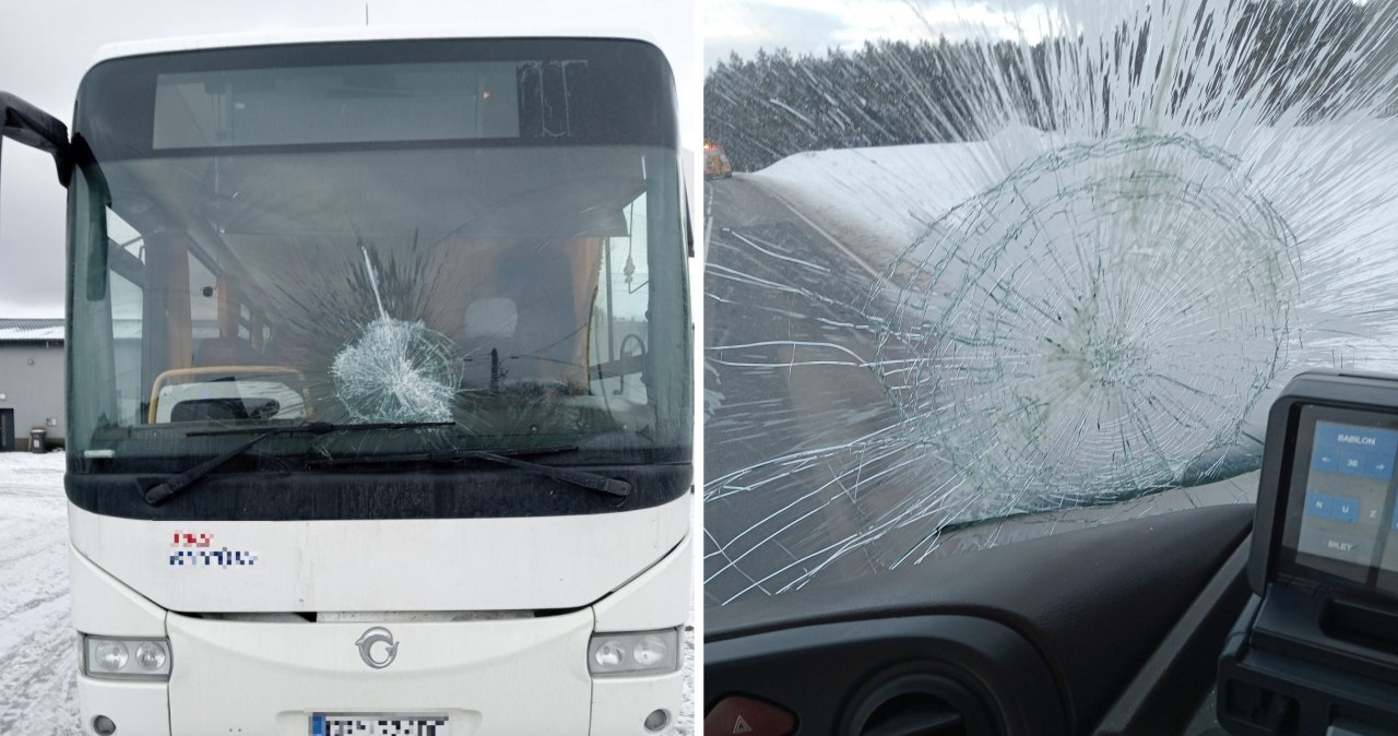 Rzucał jogurtami w szyby aut. Bezmyślność 29-latka przeraża
