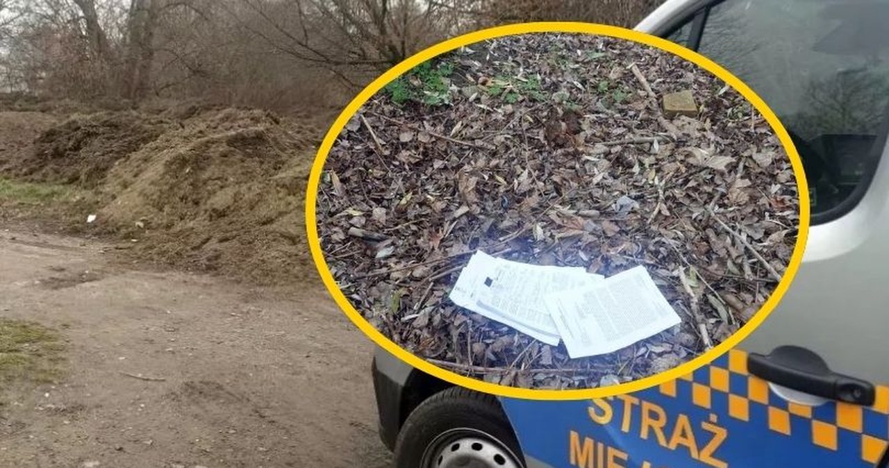 Leżały w trawie nad Wisłą. Strażnicy miejscy znaleźli dokumenty pełne poufnych danych