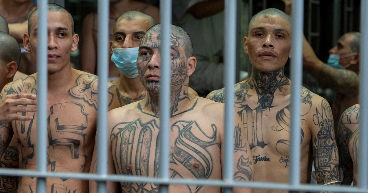 Amerykańscy przestępcy w megawięzieniu w Salwadorze? Trump ma plan
