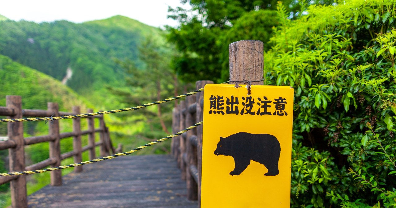 Siedem ofiar śmiertelnych i ponad 100 rannych. Japończycy żyją w ciągłym strachu
