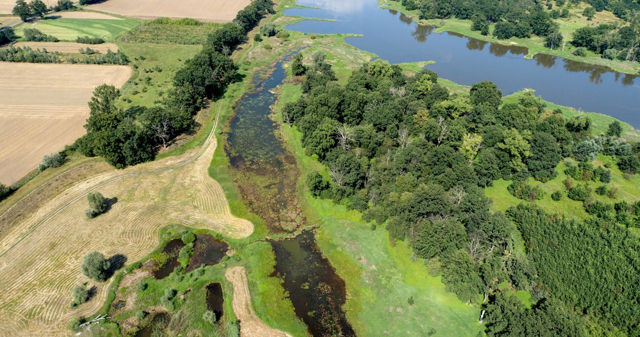 Rząd szykuje przełomową decyzję. Nowy park narodowy nad Odrą coraz bliżej