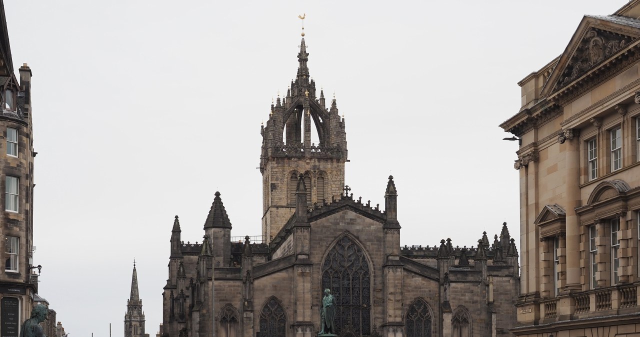 Szokujące odkrycie pod katedrą. Znaleźli dowody czarnej śmierci w szkielecie