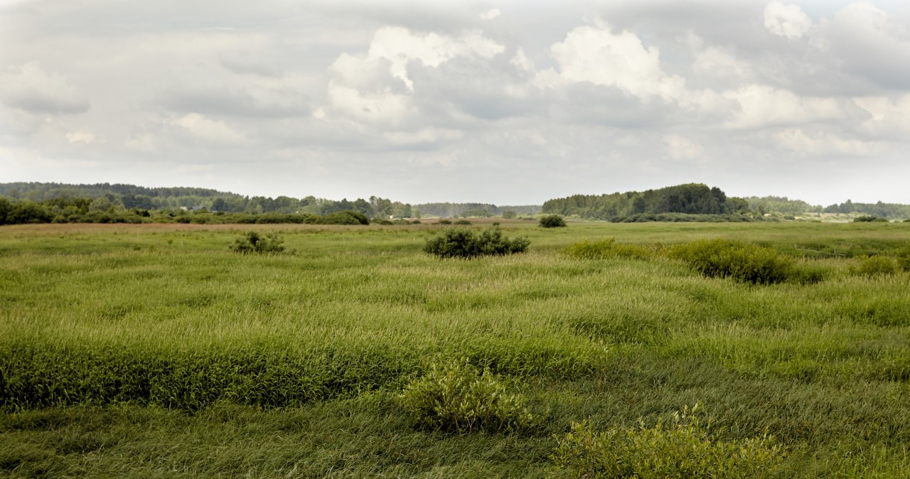 KOWR wzywa nabywcę do zwrotu działki pod CPK