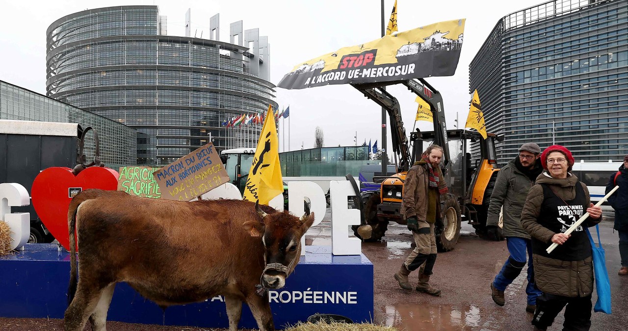 Lepsze informacje ws. Mercosur. Będą mocniejsze "bezpieczniki" dla rolników