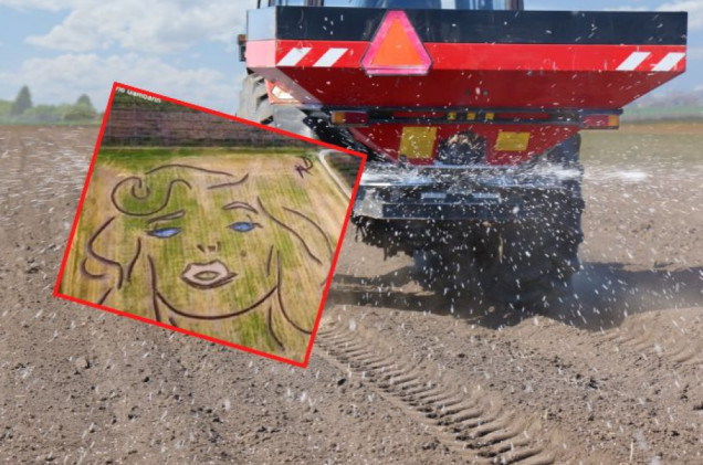 Gigantyczny portret Marylin Monroe. Namalowany traktorem