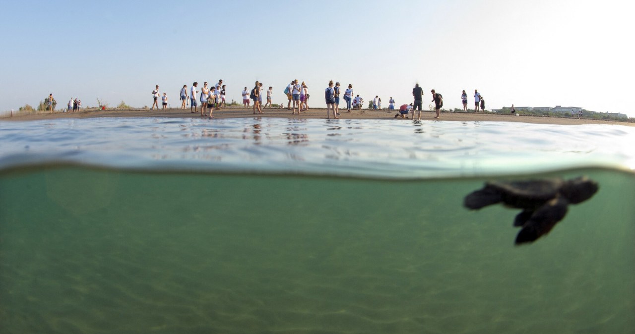 Specjalna ochrona dla tureckich plaż. Za złamanie zakazu można słono zapłacić