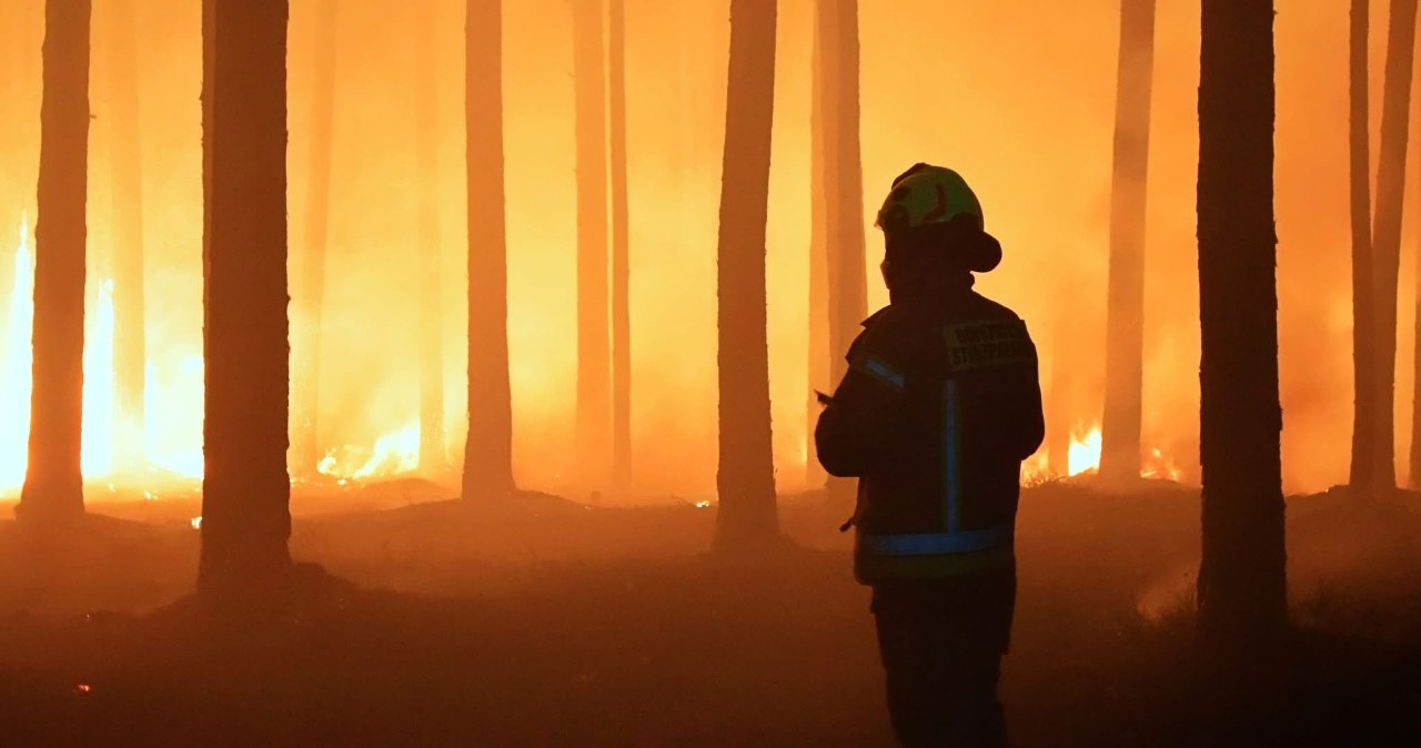 Puszcza Solska w szponach ognia. "Płomienie przenoszą się między koronami"