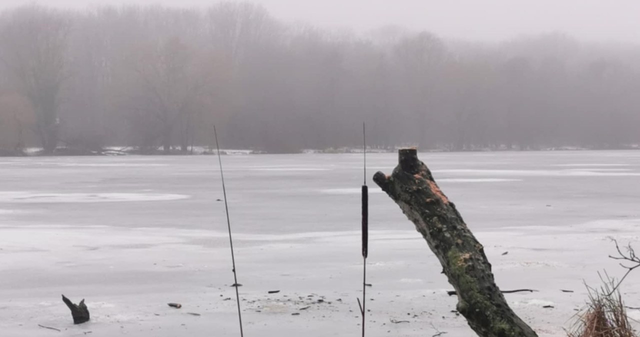 Poznań stracił swój fotograficzny skarb. Kto za tym stoi?